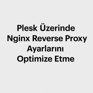Plesk Üzerinde Nginx Reverse Proxy Ayarlarını Optimize Etme